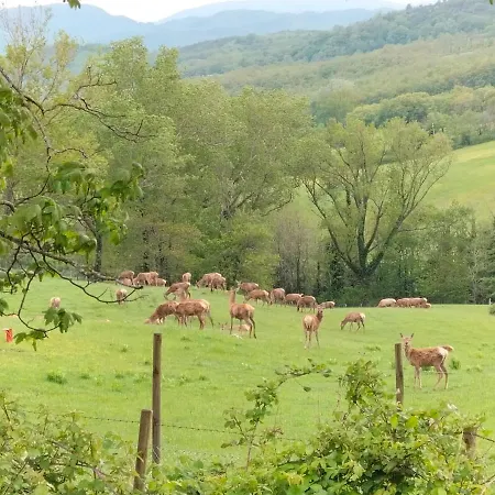 Pensjonat La Casetta Di Bruno Sul Passo Della Futa Traversa